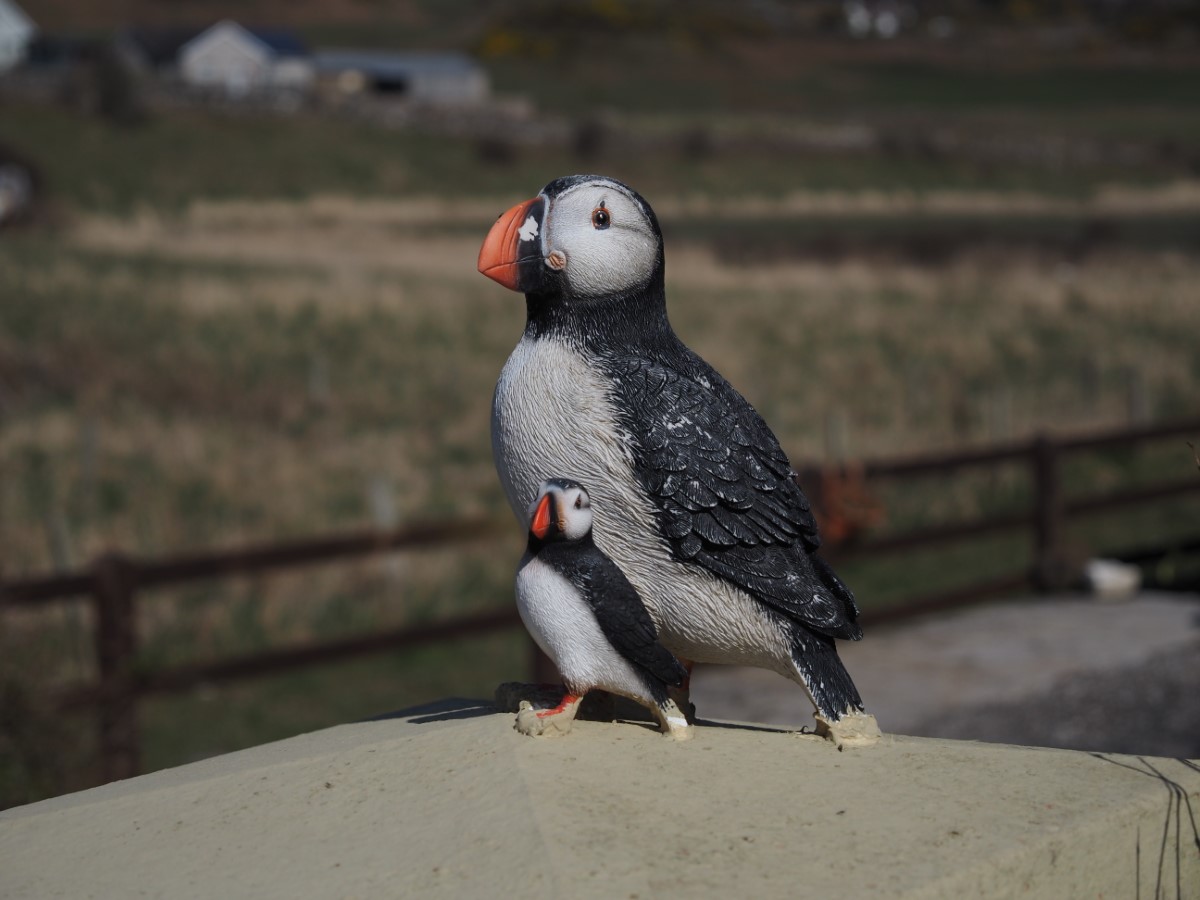 Rathlin Island